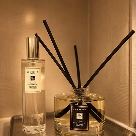 Stylish Center Escape- Where Modern Elegance Meets History Trier